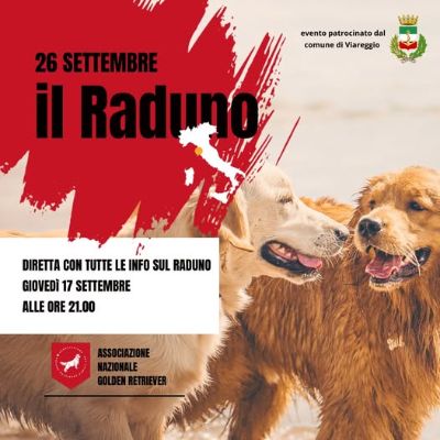 10° Raduno della Golden Retriever Family